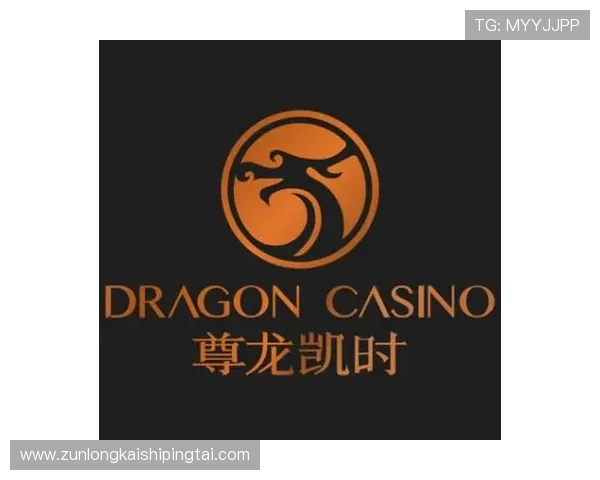 尊龙网址官方地址最新版本发布，确保用户体验和安全性不断提升