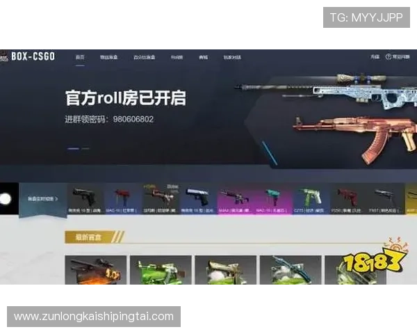 找到Z6尊龙凯时地址登录入口的最佳方法与技巧