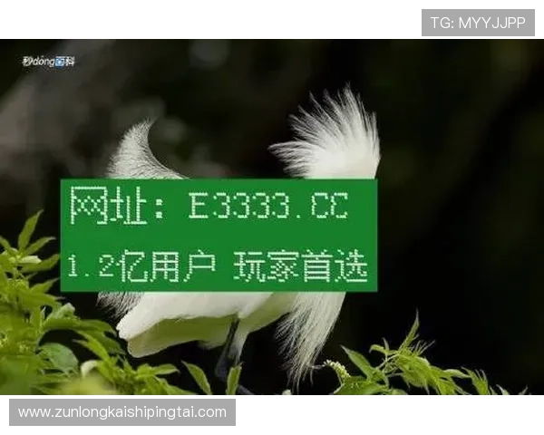 凯时娱乐网址如何保障账号安全与防止账号被盗的方法