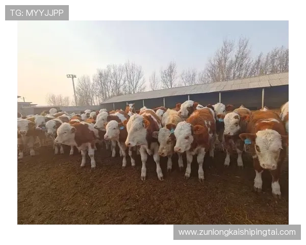 凯时尊龙人生就是博-游戏多平台支持，PC端与移动端无缝切换，随时随地畅享精彩游戏体验