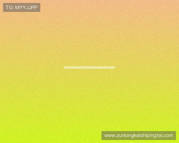 尊龙角色在不同游戏版本中的变化与演变，探索其背后的设计理念与故事线索